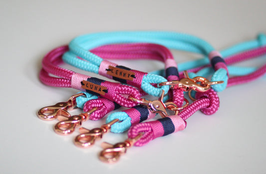 Set "pink-türkis" mit Leine und Halsband